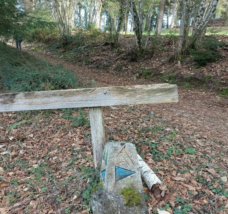 Le chemin des chèvres - Marcolès