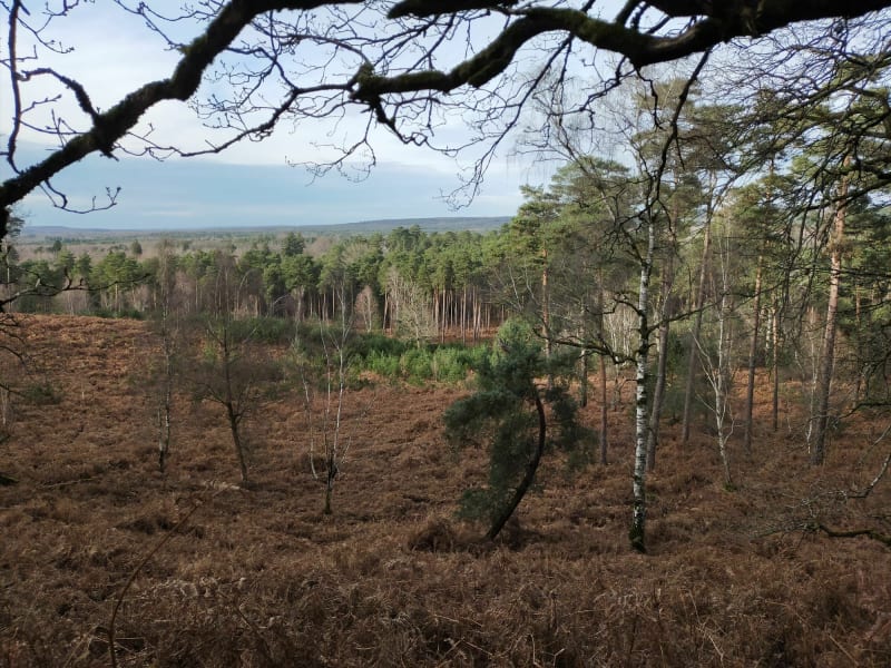 Haut  Planet Pecqueuse - Saint-Léger-en-Yvelines