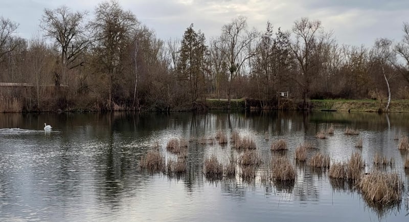 Boucle entre 2 eaux Maizieres - La Maxe - Maizières-lès-Metz