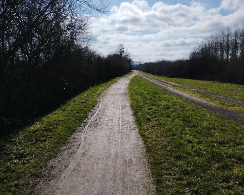 Balade le long de la Nied Française - Courcelles-Chaussy