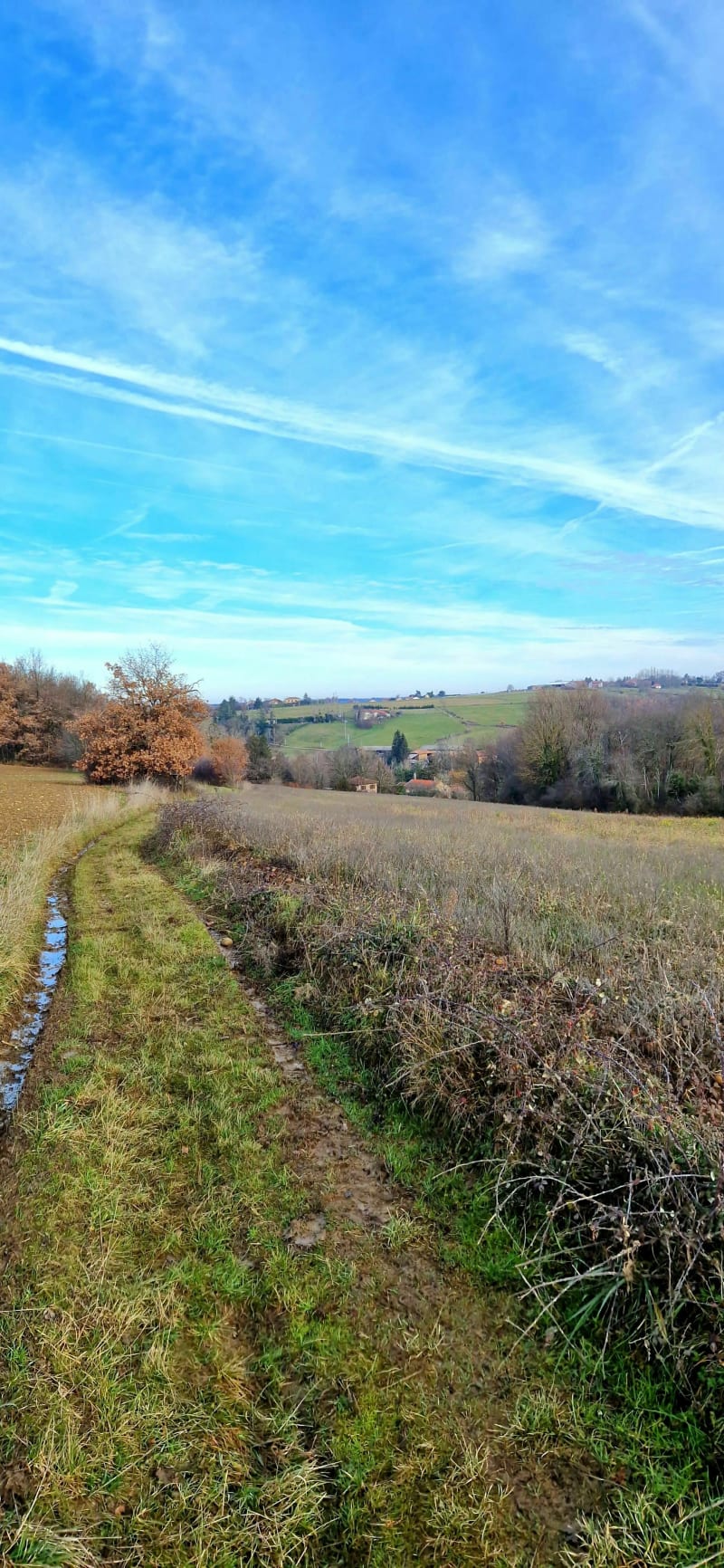 Jolie boucle autour du village de Montseveroux - Montseveroux