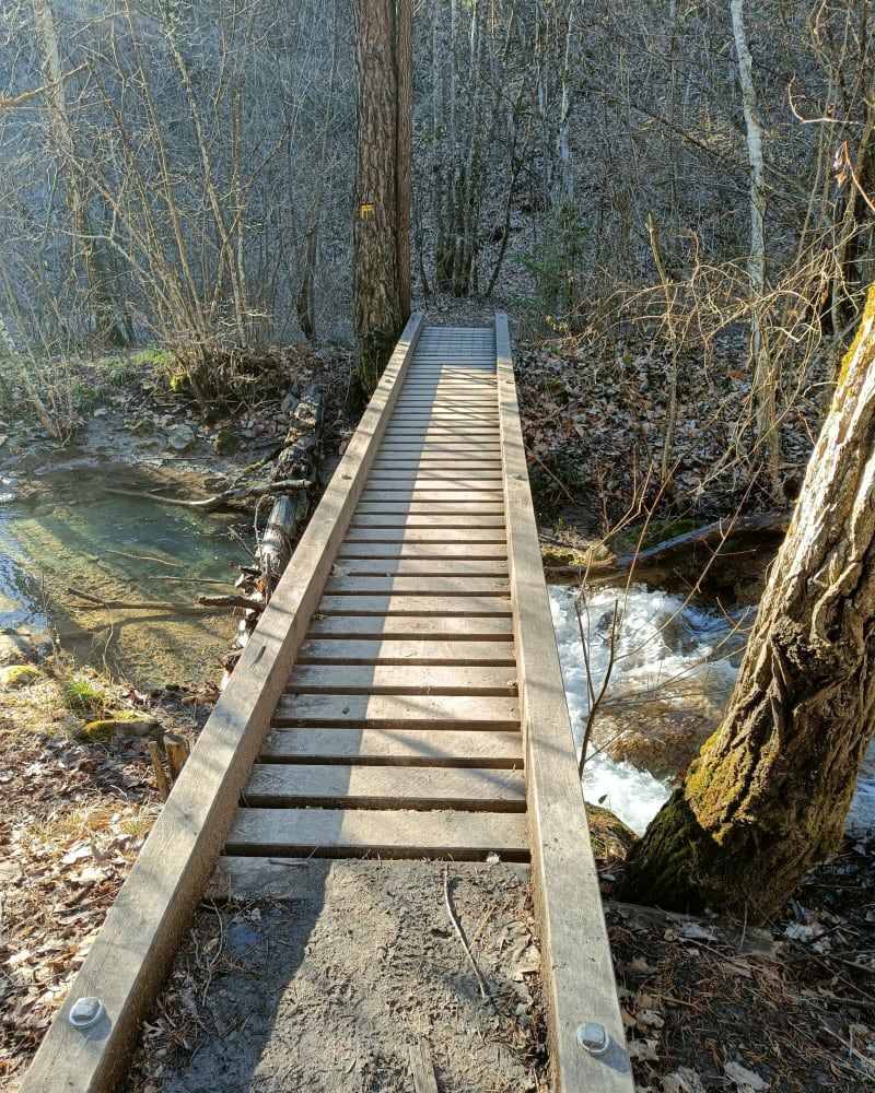Viaduc de la Selle - La Freissinouse