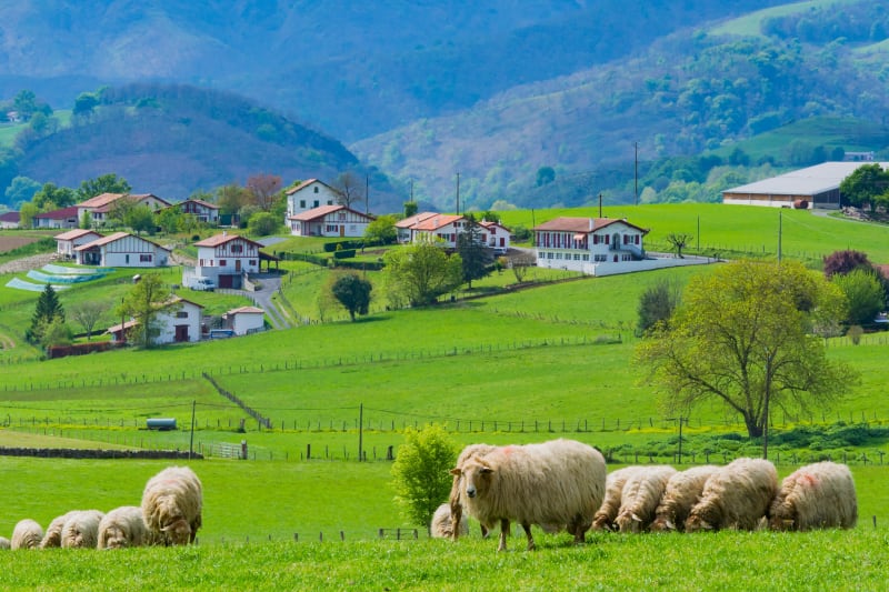 Tour depuis Espelette par le Col de Pinodieta - Espelette