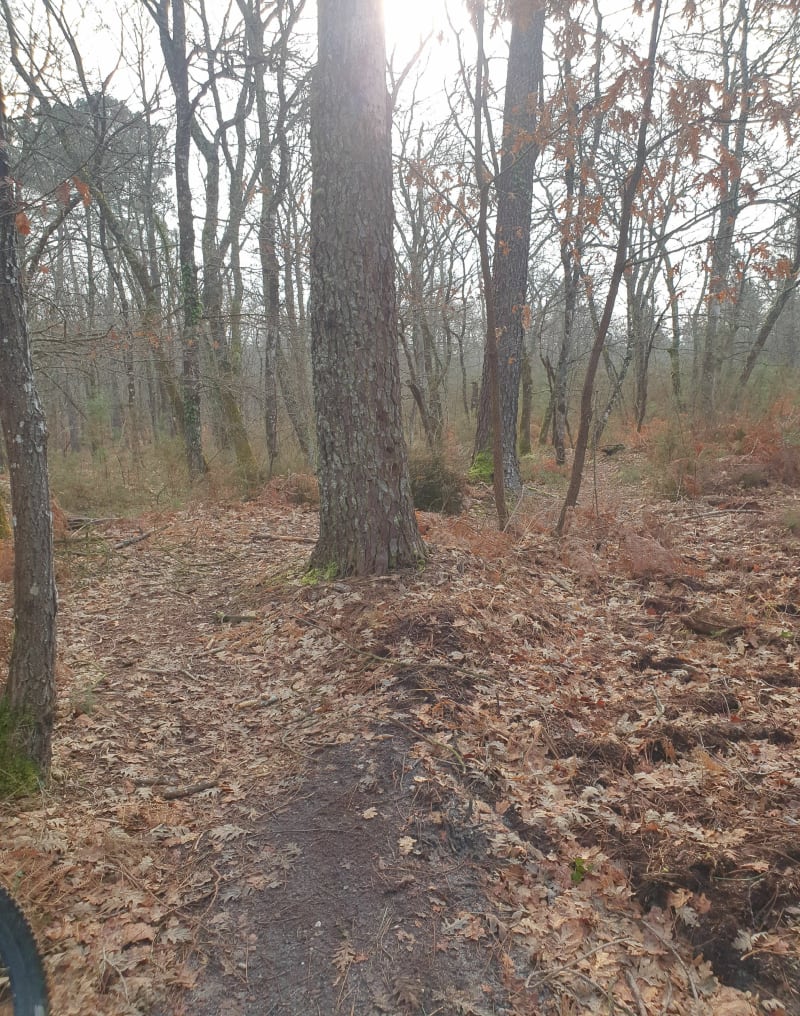 Circuit vtt Tartas single - Bégaar