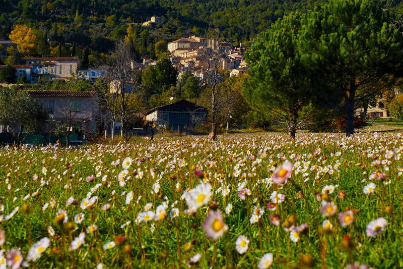 Montée au Col du Bel Homme et panorama à couper le souffle - La Bastide