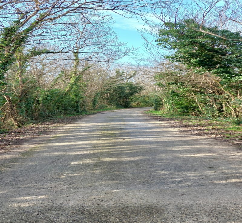 Balade par la Thibaudière et Saint-Gilles - Saint-Pierre-d'Oléron