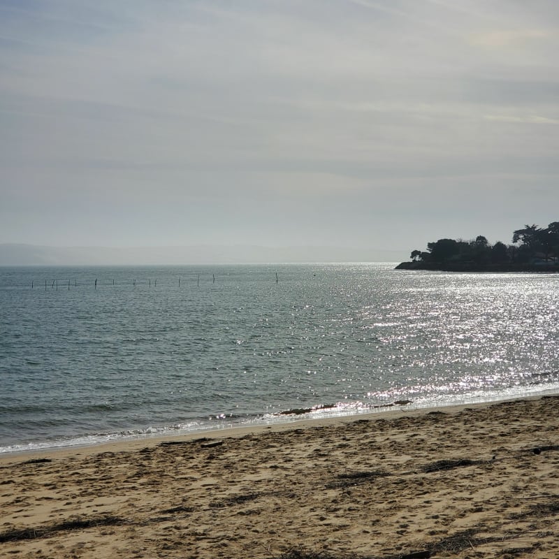Cap Ferret en Dune du Pilat vanuit een andere hoek - Lège-Cap-Ferret