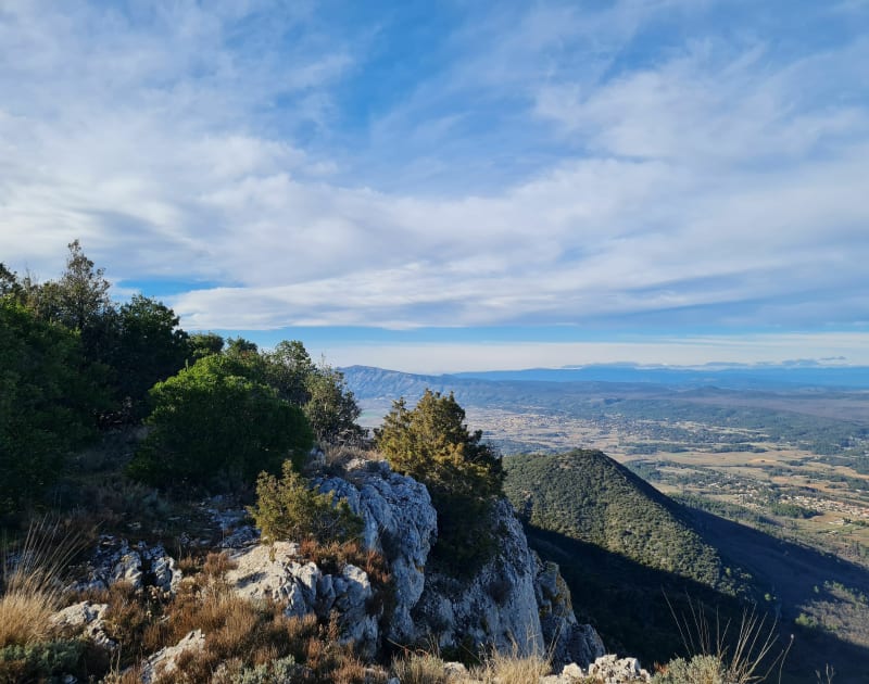 Mont Aurélien depuis Saint-Maximin - Saint-Maximin-la-Sainte-Baume
