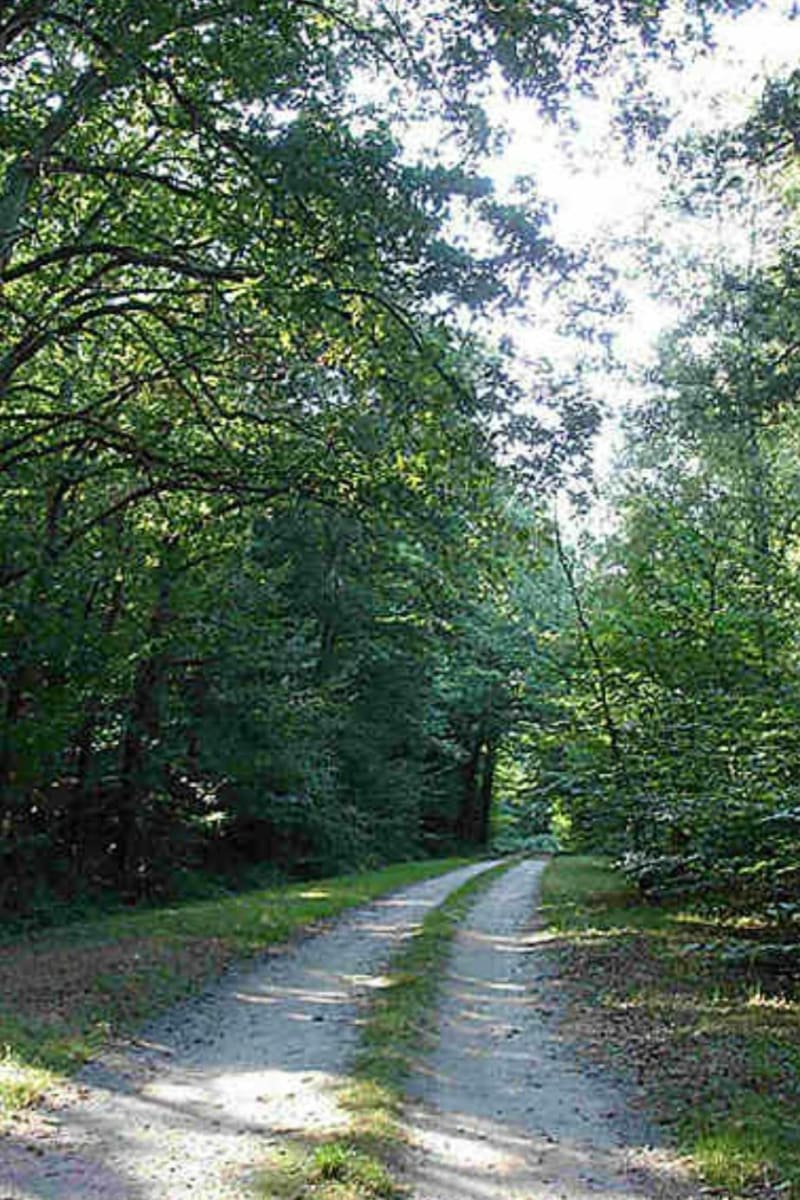 Freneuse en famille par Forêt de Moisson - Freneuse