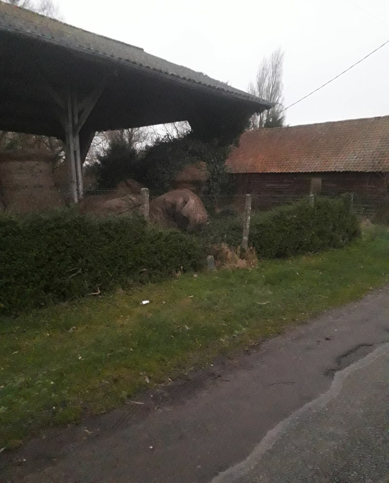 Chemin de halage du Canal de Calais depuis les Attaques - Les Attaques
