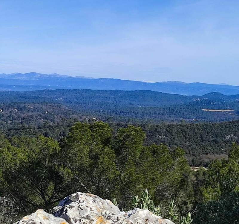 Sur la crête Entre Brignoles et Camps la Source Camps la sou - Brignoles