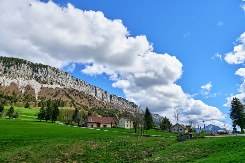 Tour dans les forêts de Rencurel depuis le  Col de Romeyère - Rencurel