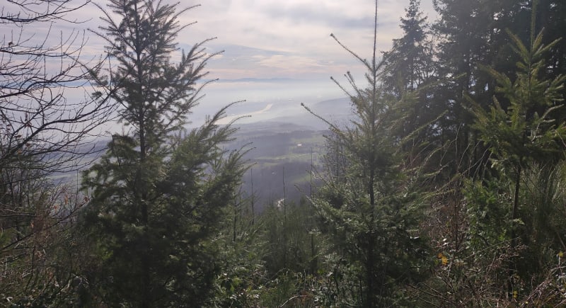 Boucle au Col de Pavezin - Chuyer