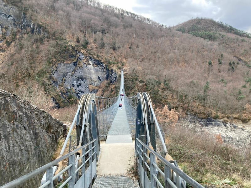 Boucle jusqu’à la passerelle du Drac - Mayres-Savel