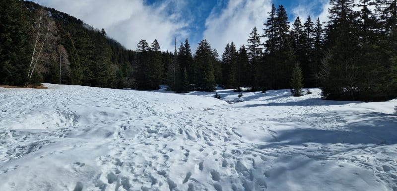 Clairière et Crêtes de l'Arselle - Chamrousse