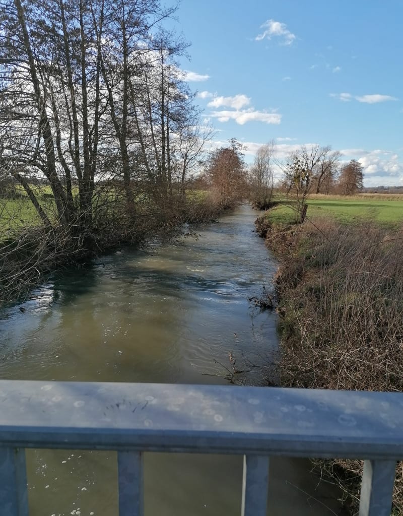 Variante de la plaine du Tartre Frangy en Bresse - Le Tartre