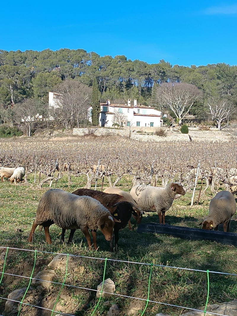 Balade Salernes St Antonin Entrecasteaux - Salernes
