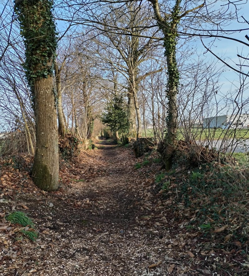 Balade autour de Vitré - Vitré