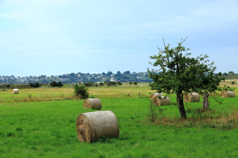 Vallée de la Rance à vélo, St-Méen-le-Grand à Ploërmel (Jour 3) - Saint-Méen-le-Grand