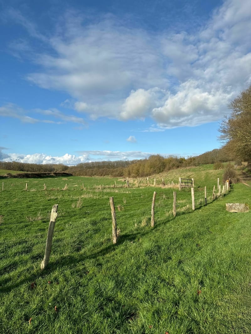 Bois du Roi et la Vallée aux Loups - Soulaires