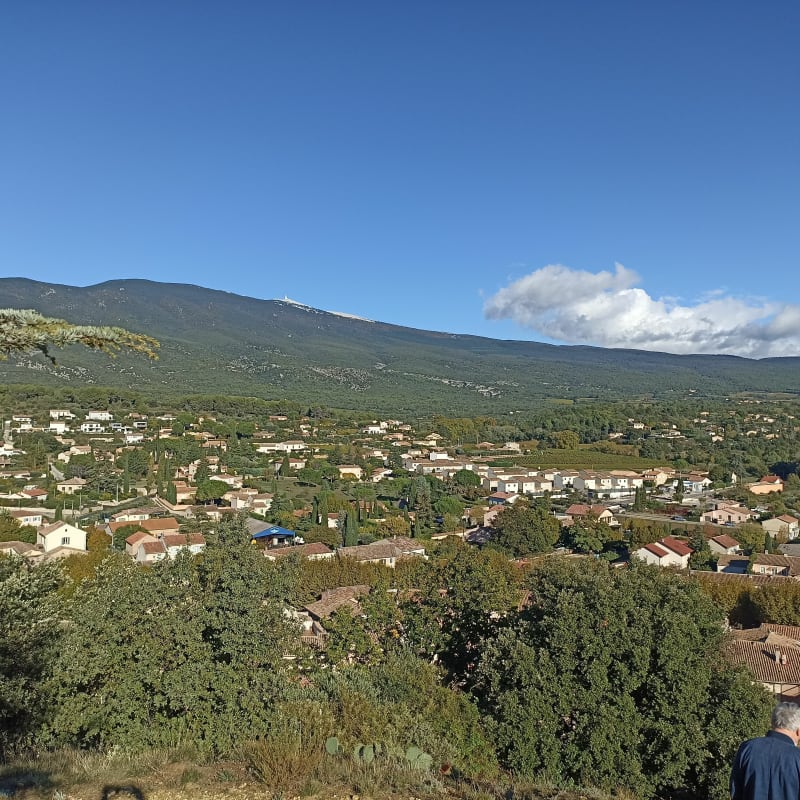La vallée au pied du Ventoux - Bédoin