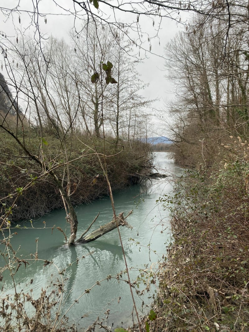 Tour de l’étang de La Roize depuis le centre de Voreppe - Voreppe