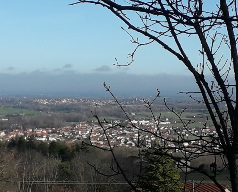Balade sur Saint-Marcellin-en-Forez et Bois de Rachasset - Saint-Marcellin-en-Forez