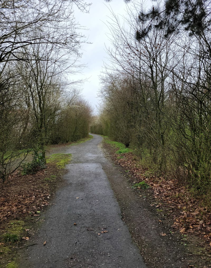 La petite Roche Baraton à Beaupréau-en-Mauges - Beaupréau-en-Mauges