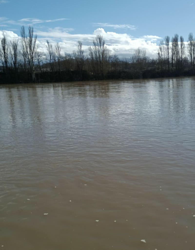 Boucle à Thionville - Thionville