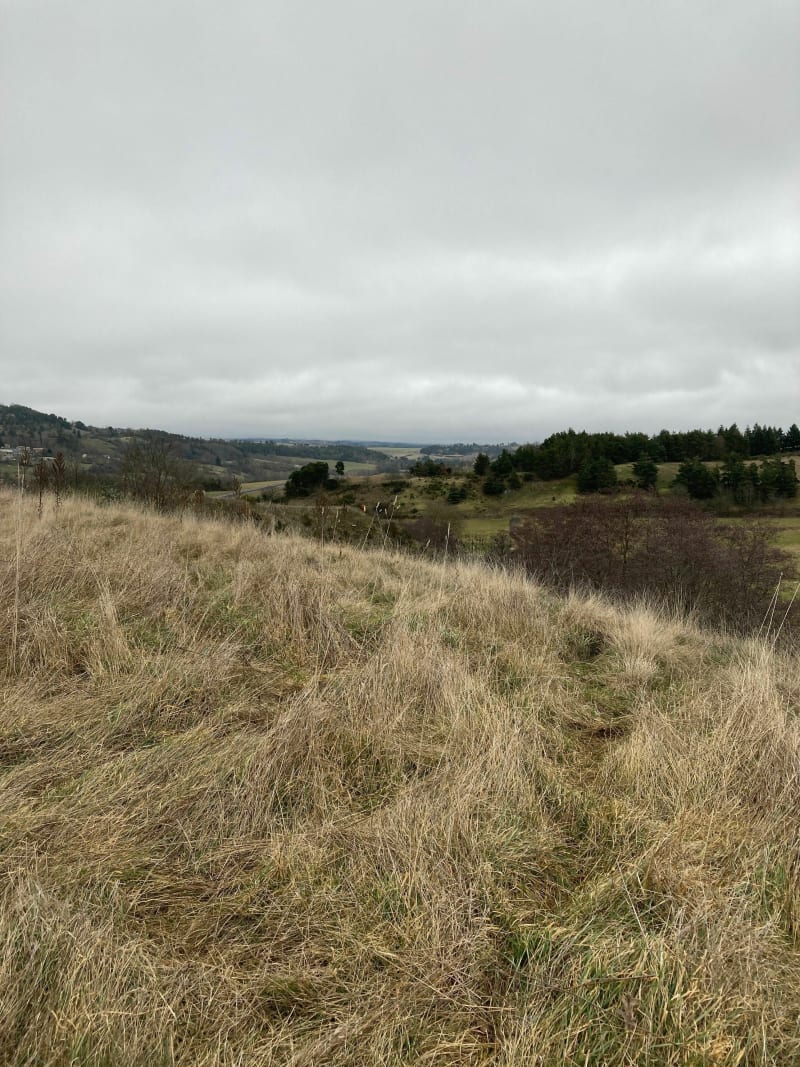 Marche Mazerat Gaymon, le long de l'Ander - Roffiac