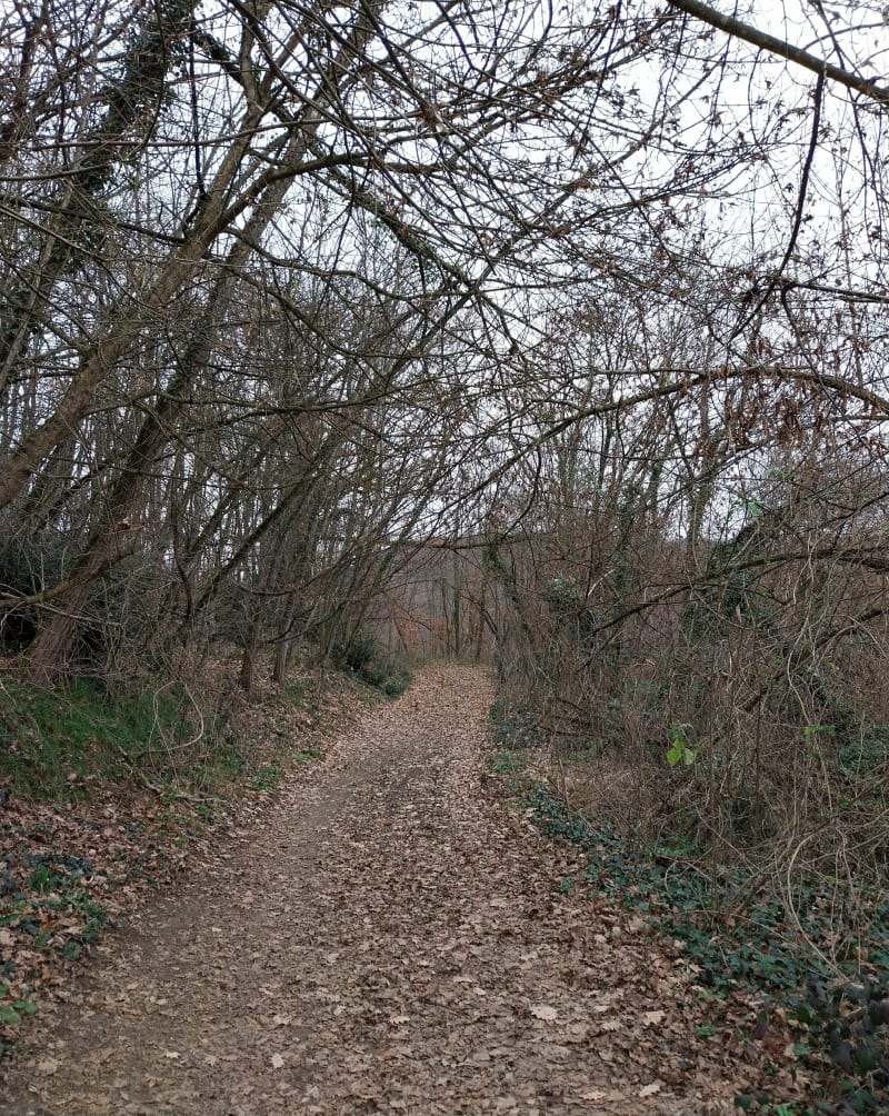 Saint-Lattier et La Baudière - Saint-Lattier