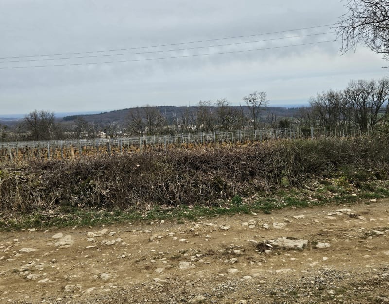 Les Hauts de Chevagny-les-Chevrières - Chevagny-les-Chevrières