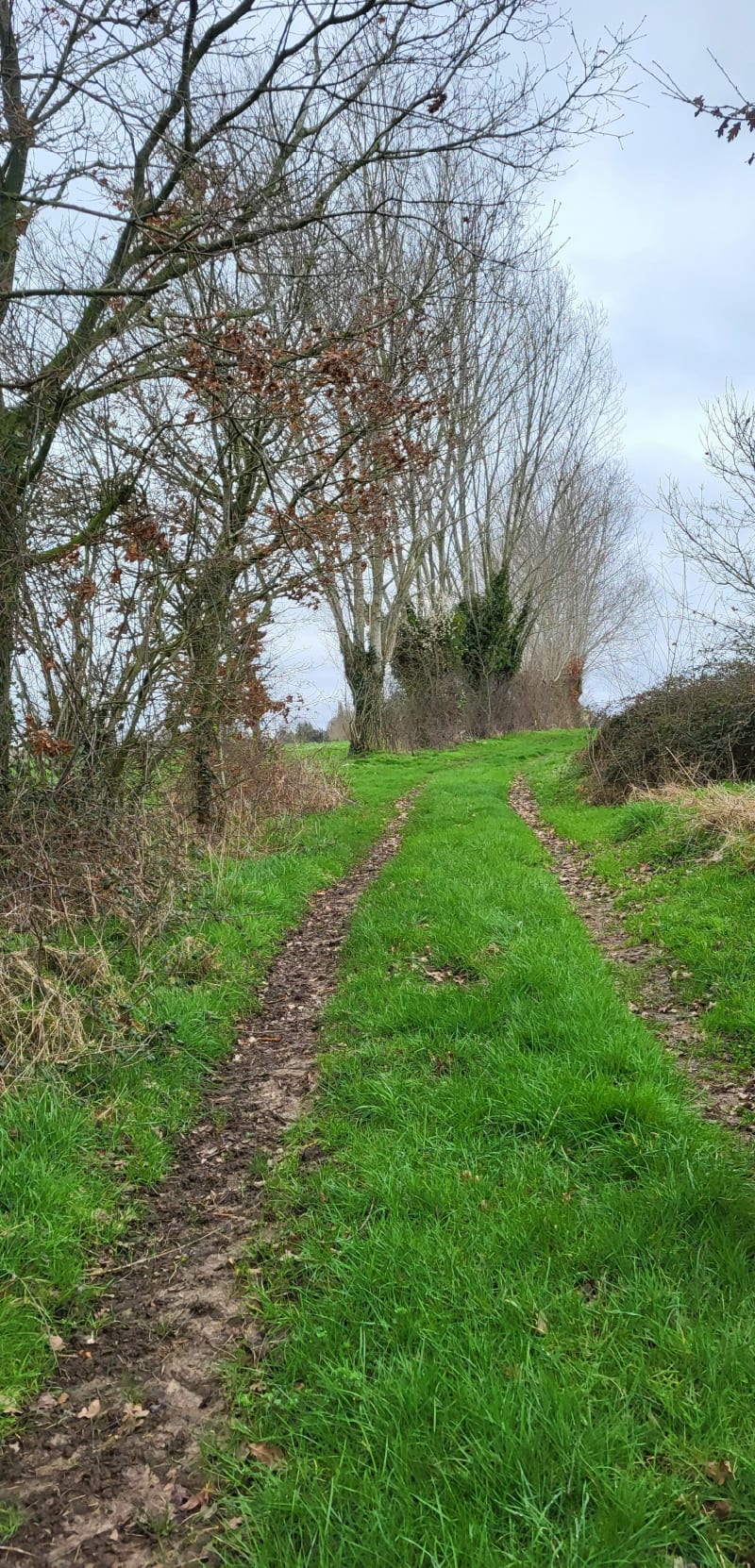 La mini balade dans Les Monts du Roumois - Les Monts du Roumois