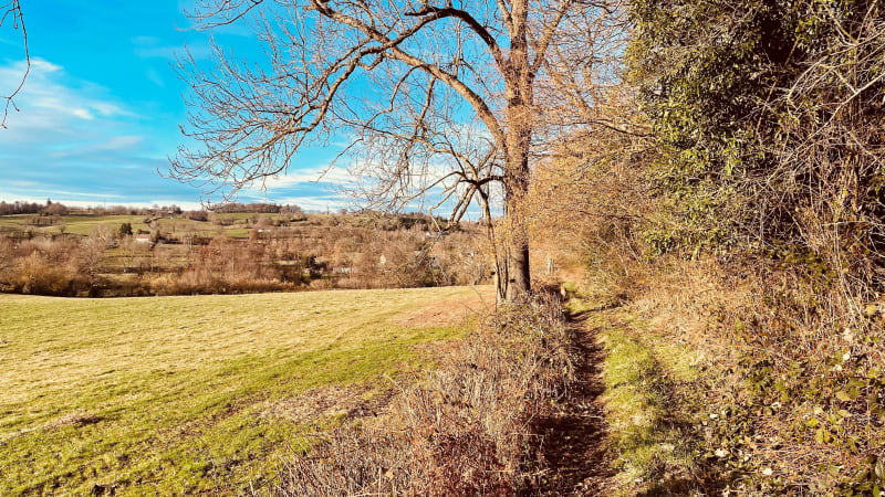 Parcours de bois de la garde - Pionsat