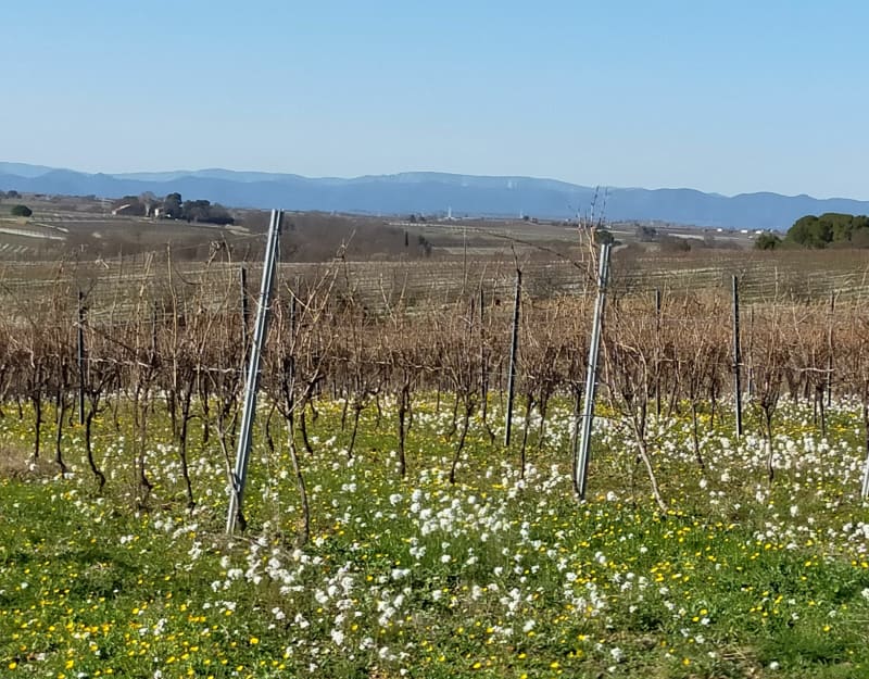 Boucle  de Servian et vue sur  villages alentours - Servian