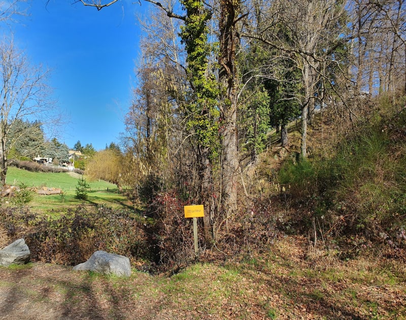 Balade au barrage du Vérut - Saint-Galmier