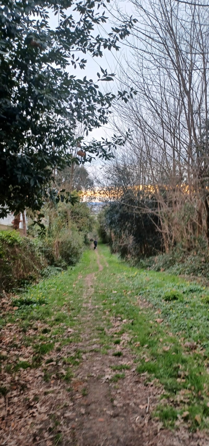 Balade autour de Bayonne - Bayonne