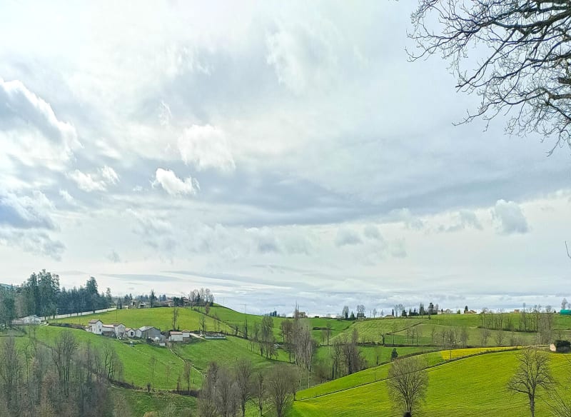 Rando Aveizieux par Chevrières et bois de Meycillieux - Aveizieux