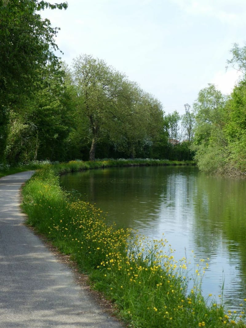 Heillecourt-Richardménil par le canal de jonction en aller retour - Heillecourt
