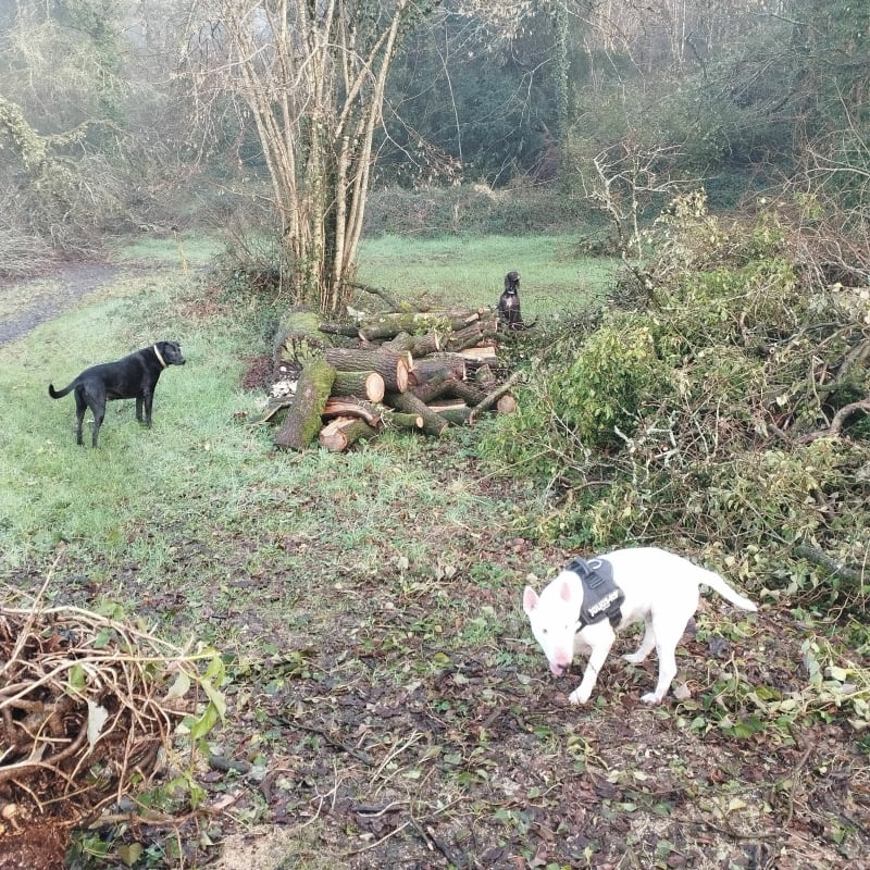 Petite randonnee autour de Locarn - Locarn