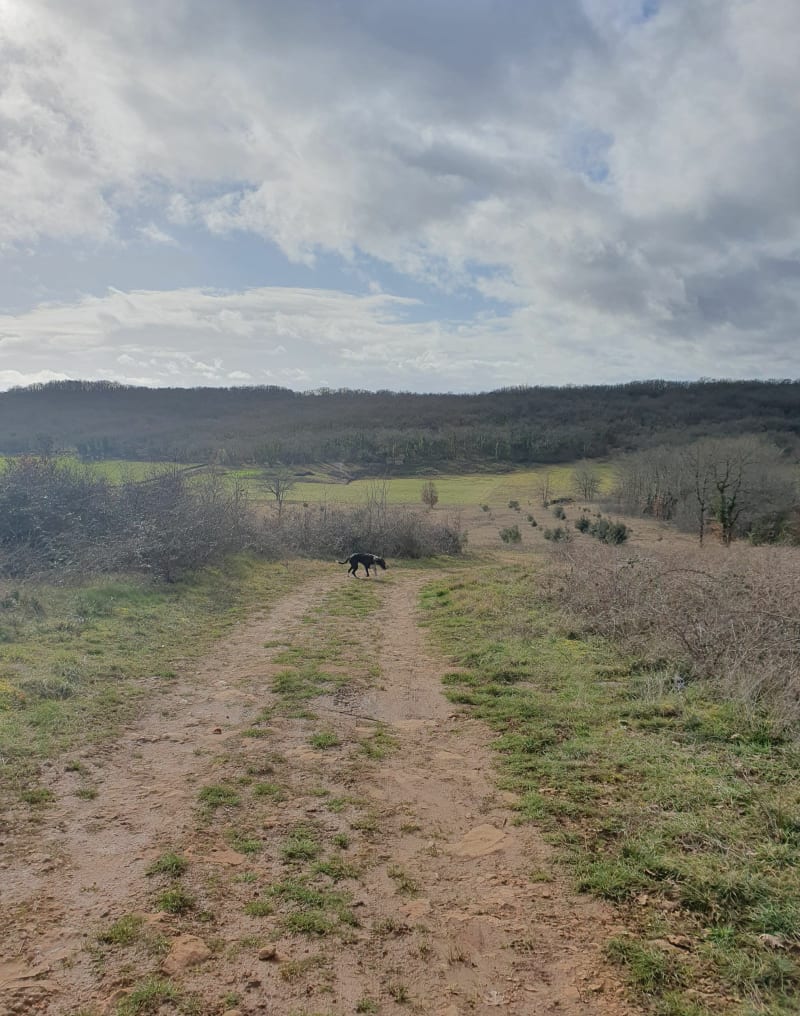 Promenade autour de la voie Gallo-Romaine - Chasteaux