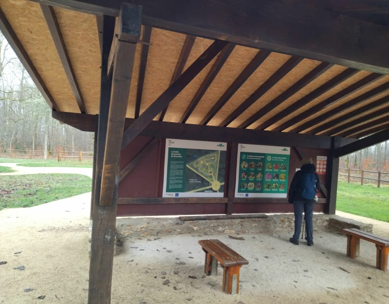Forêt de Dourdan, balade des Fontenettes - Dourdan