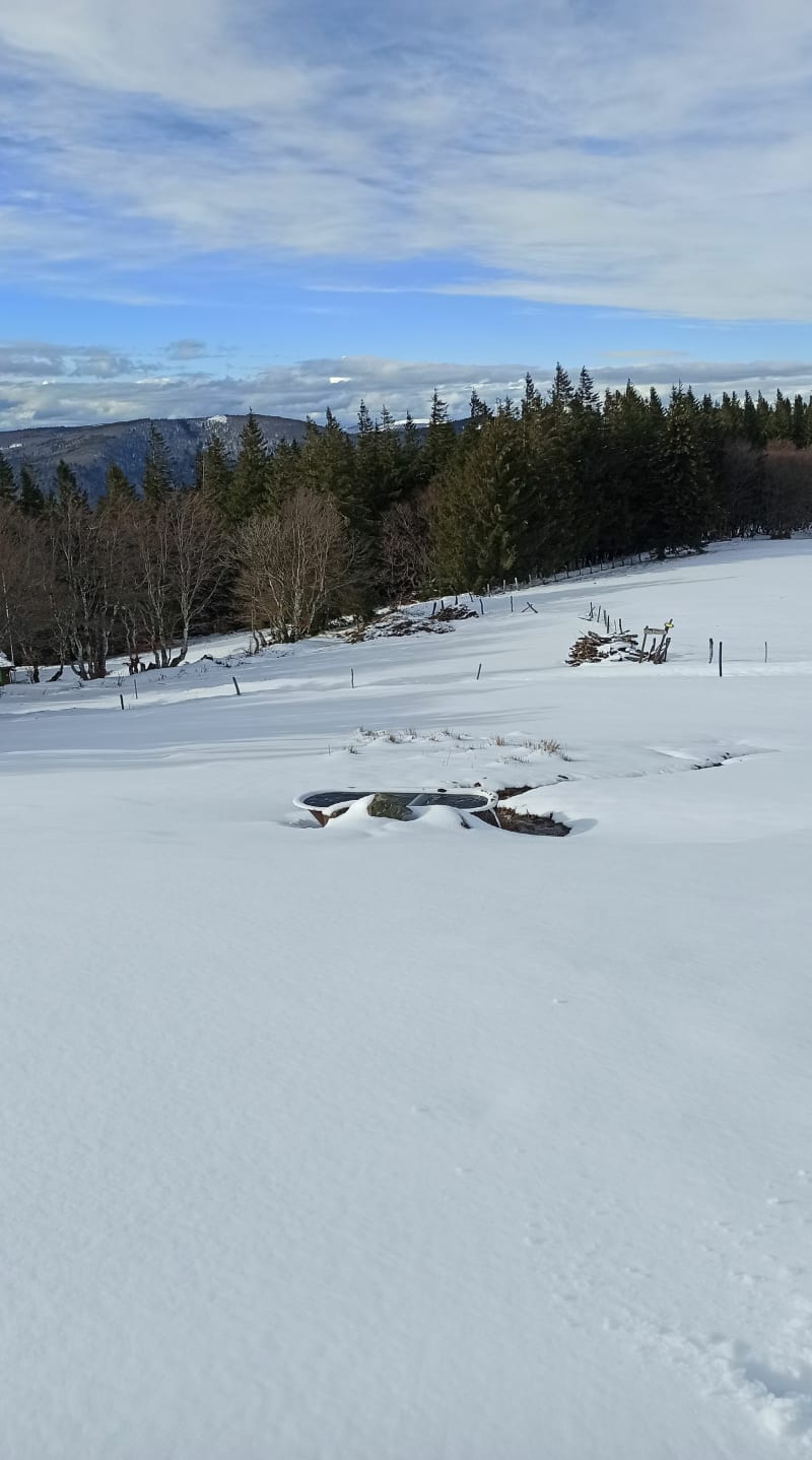 Tour depuis le parking du Grand Ballon vers le Judenhut - Soultz-Haut-Rhin