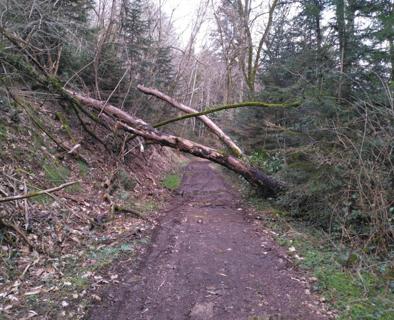 VTT Vizy La Châtelaine - Saint-Symphorien-de-Marmagne
