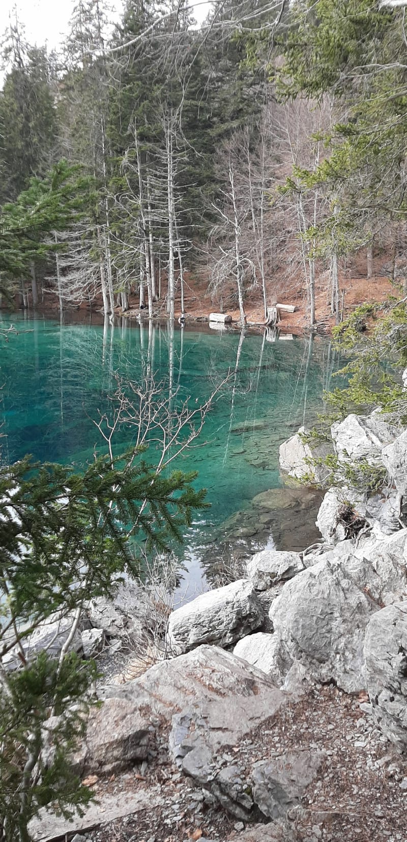 Rando facile du Lac Vert depuis la Côte - Servoz