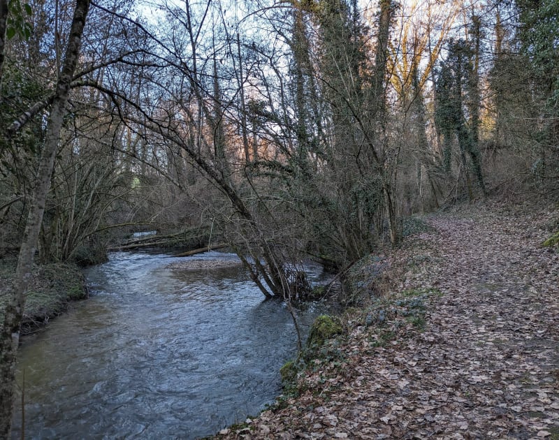 Sentier nature à La Bâtie-Montgascon - La Bâtie-Montgascon