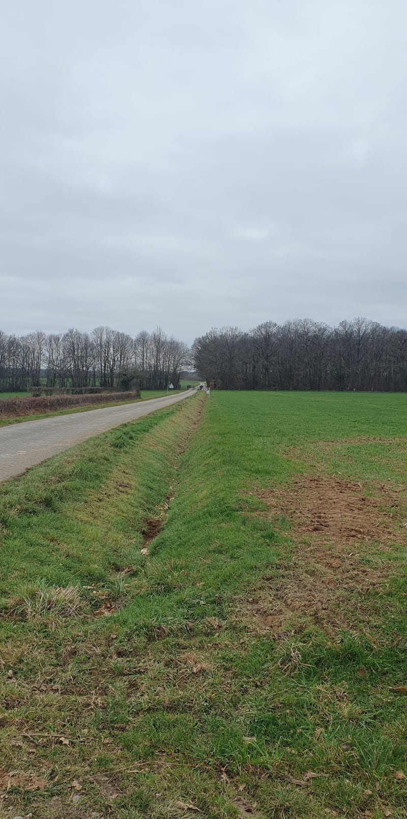 Petite randonnée à Courçais - Courçais