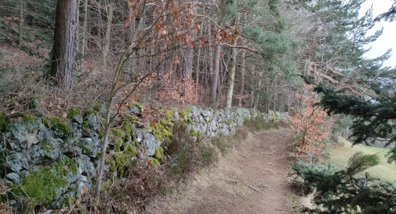 Balade bucolique, par Montchal, entre prés et forêt - Burdignes