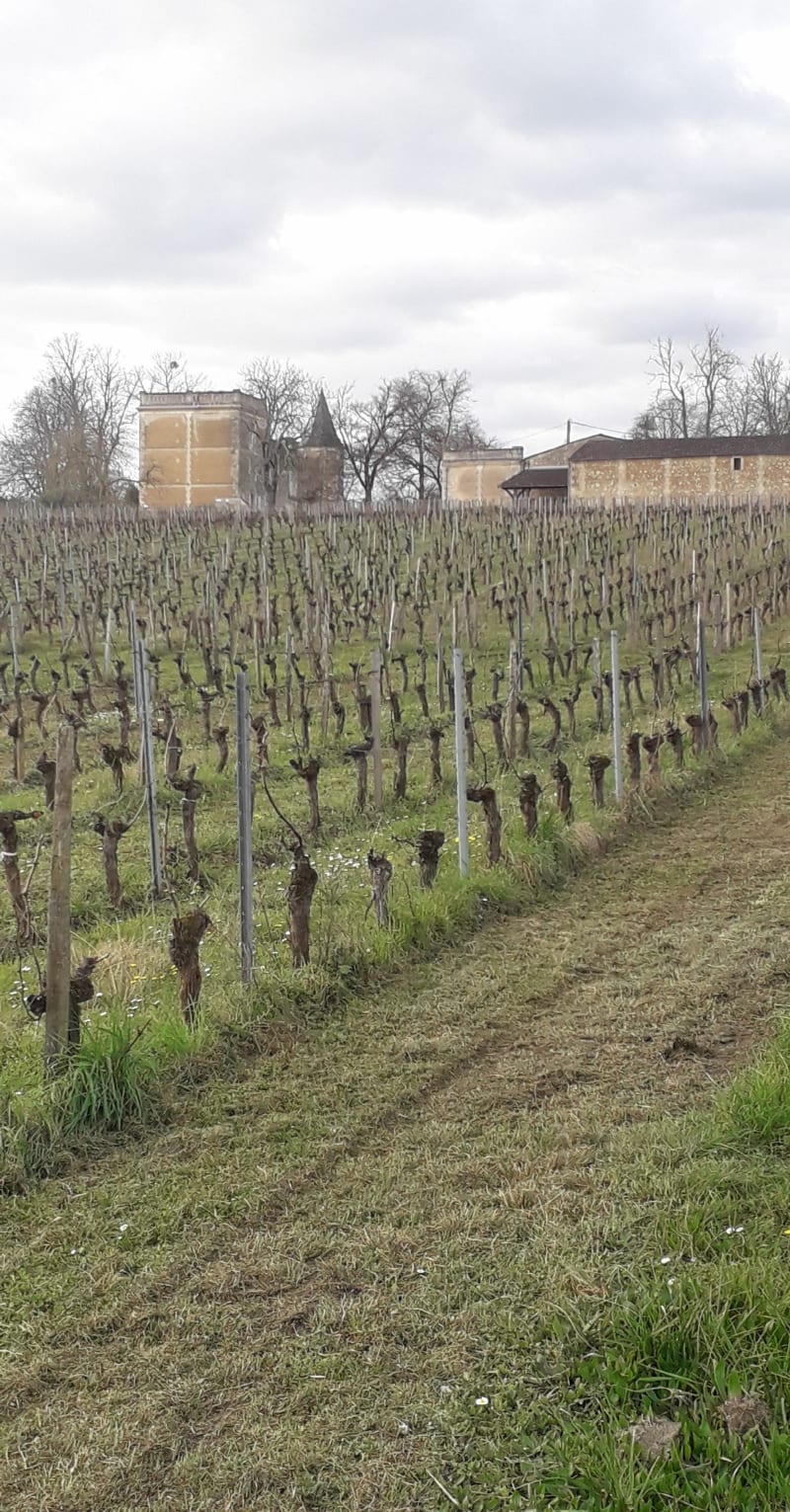 Villegouge par St-Aignan, Vincent et Bel-Air - Villegouge