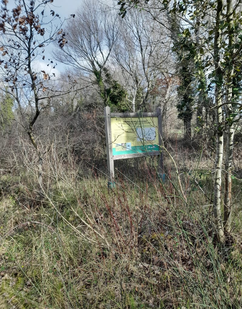 Plaine de Sauzet, St Gervais, Bonlieu et La Laupie - Sauzet